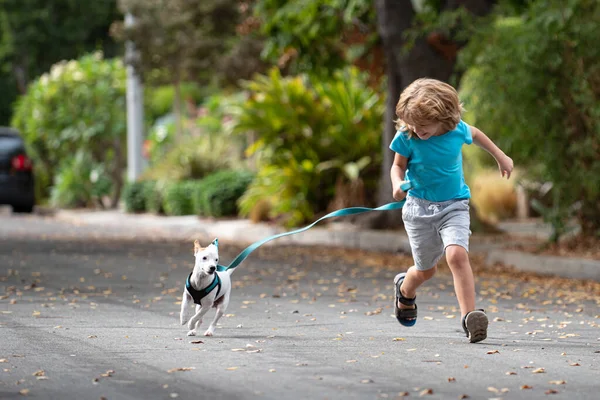 Niño correr con perro en correa caminar al aire libre. Chico jugando con cachorro. Niños con mascota amigo. —  Fotos de Stock