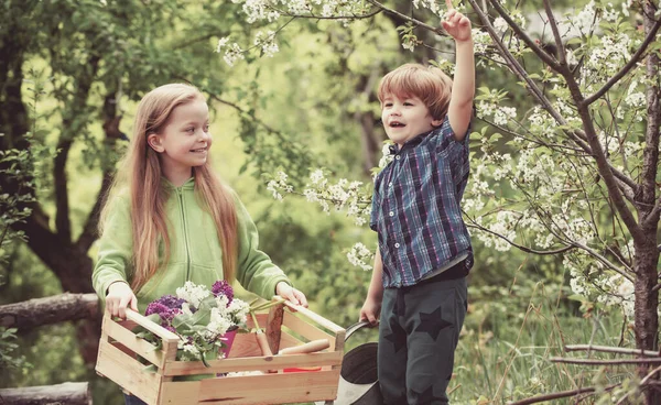 Дитинство і дорослішання. Діти грають у весняному саду. Маленький милий хлопчик піднімає руку і дівчинку, дивлячись на нього. Молоде покоління дерев обіймів і любителів природи. Дитячий садок і дозвілля на відкритому повітрі — стокове фото