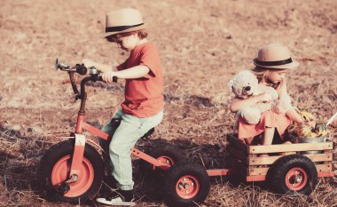 Şirin küçük çiftçiler. Sahada üç tekerlekli bisiklet süren küçük bir oğlan ve kız. İki genç çiftçi. Kırsalda çocukluk, tatlı bir çocukluk..
