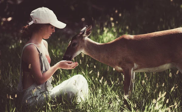 Une jeune femme nourrit des cerfs bambi. Concept d'animaux sauvages mignons. — Photo