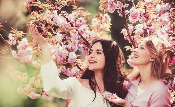 Eventos y ubicaciones de Cherry Blossom. Día de las mujeres, 8 de marzo. Dos chicas felices con flor sakura cerezo sobre fondo de la naturaleza . — Foto de Stock