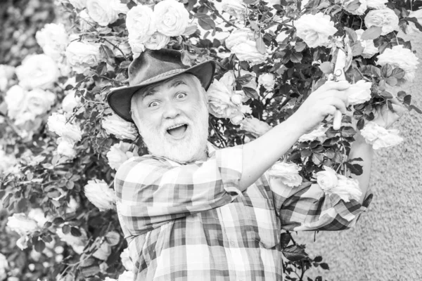 Plantando flores. Publicidad retro. Retrato del abuelo mientras trabajaba en el jardín de flores. Me encantan nuestros momentos en el campo - recuerda el tiempo . — Foto de Stock