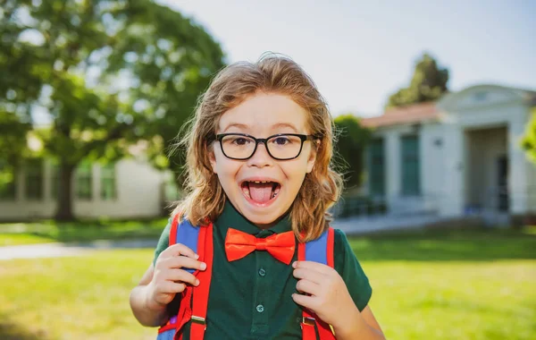 勉強の準備ができている少年。子供のための教育と学習。学校公園における小学生の驚きの肖像画. — ストック写真