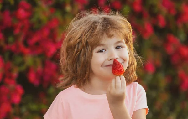 健康的な子供の食べ物幸せな子供の男の子はイチゴを食べる。愛らしい子供がイチゴを食べる. — ストック写真