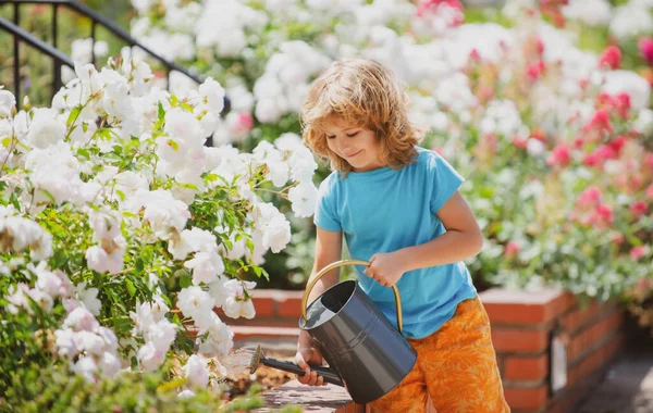 Barnet häller vatten på träden. Grabben hjälper till att vårda växterna i trädgården. Liten pojke med en vattenkanna på bakgården. — Stockfoto