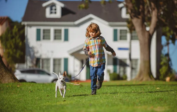 Köpek Yarışan Küçük Çocuk. Dışarıda Köpekli Güzel Çocuk Yürüyüşü. — Stok fotoğraf