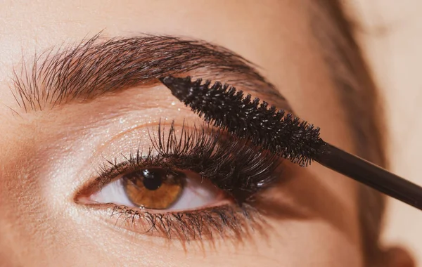 Eyebrow makeup. Macro close up of brows. Woman brushing brows with brows brush closeup. Natural beauty brows. — Stockfoto