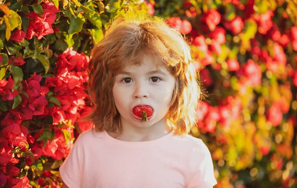 Malé dítě jí jahody v přírodě. Vtipné dítě má lahodné bobule. — Stock fotografie