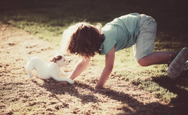 Χαριτωμένο παιδί απολαμβάνει με τον κολλητό του σκύλο. Αστείο παιχνίδι για σκύλους. Τα παιδιά παίζουν με το σκυλάκι του.. — Φωτογραφία Αρχείου