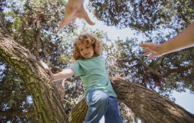 Babaların eli. Baba oğul ağaç dallarına tırmanıyor..