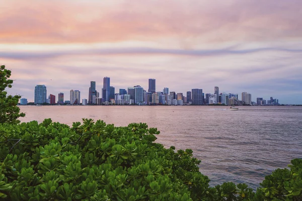 Miami, Florida, Skyline der USA an der Biscayne Bay, Hintergrund der Stadt. Blick auf Miami bei Sonnenuntergang, Nacht in der Innenstadt. — Stockfoto