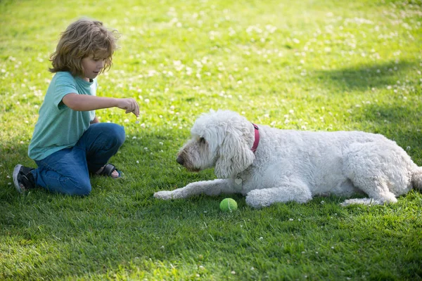 Niño con perro al aire libre. Chico jugando con cachorro. Niños con amigos mascotas. Niñez despreocupada. —  Fotos de Stock