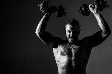 Dambılla egzersiz yapan kaslı adam. Sportif adam çalışıyor. Kaslı, çıplak erkek gövdesi. Güç ve motivasyon. Yakışıklı atletik iri kıyım. Güçlü vücut geliştirici, güçlü pazıları ve göğsü var..