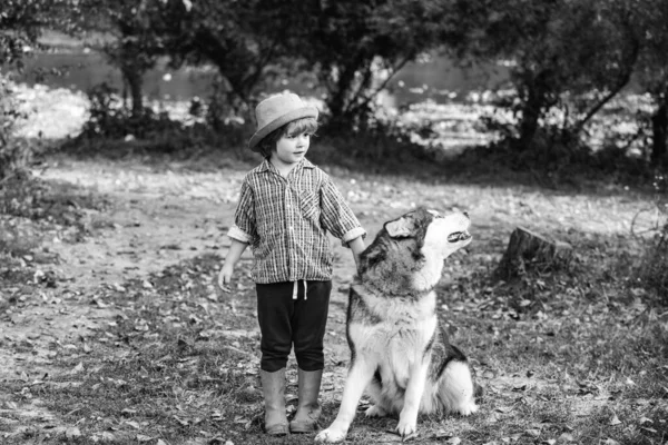 Lustiger Junge mit Hund spaziert gemeinsam auf grünem Hügel. Sommerporträt des glücklichen süßen Kindes - Sohn mit Hund. Kleiner Bruder geht mit Welpe spazieren. Kindheitserinnerungen. — Stockfoto