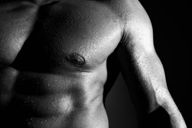 İnsan gövdesi. Kaslı vücutlu seksi adam. Göğüs, kaslı adamın göğsü. Kaslı bir erkek modelin çıplak gövdesi. Yakından erkek meme ucu..