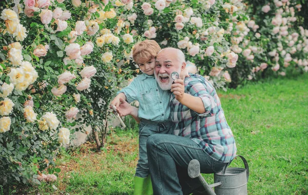 孫と一緒にガーデニングと抱擁を持つ祖父。庭で働く彼の孫と幸せな祖父. — ストック写真