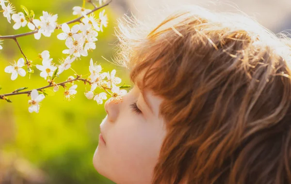 Aranyos gyerek virágzó fát szimatol. Nyári gyerek a virágos kertben. — Stock Fotó