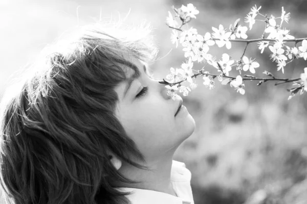 Feliz infancia. Niño primaveral con árbol en flor. Lindo niño en el jardín de flores. — Foto de Stock