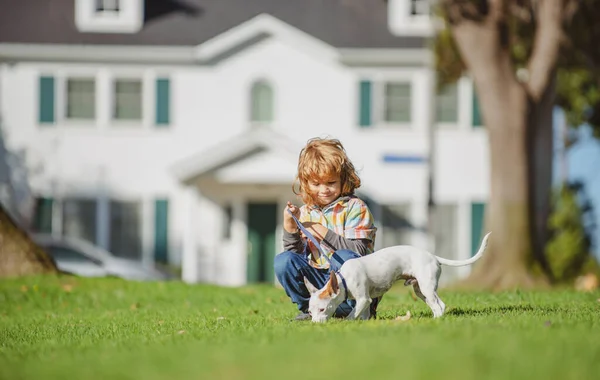 Šťastné malé dítě hrající si se psem na zahradě. Domácí mazlíčci a lidské přátelství. — Stock fotografie
