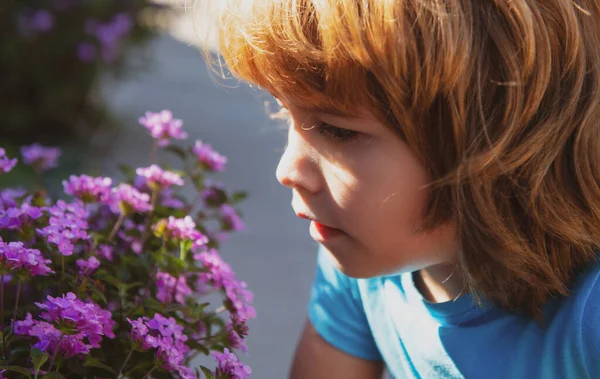 Παιδική αλλεργία λουλουδιών. Αγοράκι που μυρίζει σαν λουλούδι. Το παιδί μυρίζει λουλούδια. Πάρκο Σπρινγκ. — Φωτογραφία Αρχείου