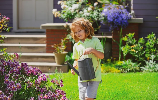Мила дитина поливає рослини в саду на задньому дворі з лійкою . — стокове фото