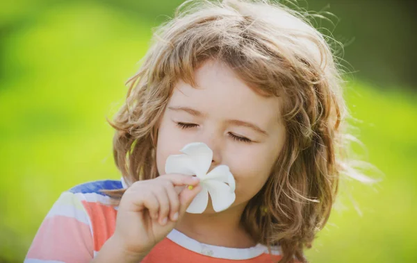Vicces gyerek illata plumeria virág, arc közelről. Gyerekek a nyári természetvédelmi parkban, portré. — Stock Fotó