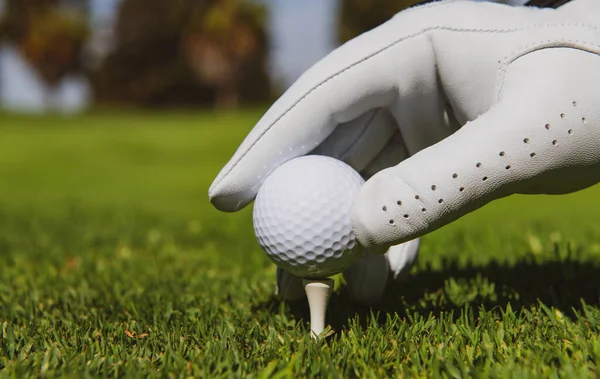 Bola de golfe em campo verde. Mão colocando bola de golfe no tee no campo de golfe. — Fotografia de Stock