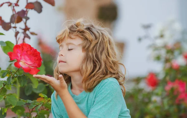 Παιδί μυρίζει λουλούδι. Παιδικό αστείο πρόσωπο. Χαριτωμένο παιδί απολαμβάνουν το φυσικό περιβάλλον μέσα από την εξωτερική δραστηριότητα, όπως το παιχνίδι, την αφή και τη μυρωδιά τριαντάφυλλο. — Φωτογραφία Αρχείου