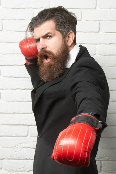 Muž v obleku s boxerskými rukavicemi ve střehu, konfliktní a bojový koncept. Obchodník s boxerskými rukavicemi punching. — Stock fotografie