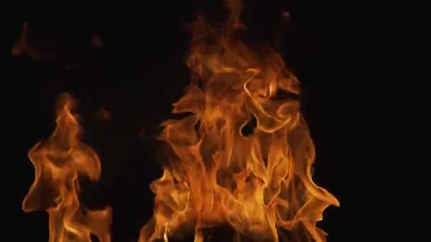 Feuerflammen, rot und gelb, thermische Energie am Brennstoff. Brennende Lichter auf schwarzem Hintergrund. Großes loderndes Feuer. — Stockvideo