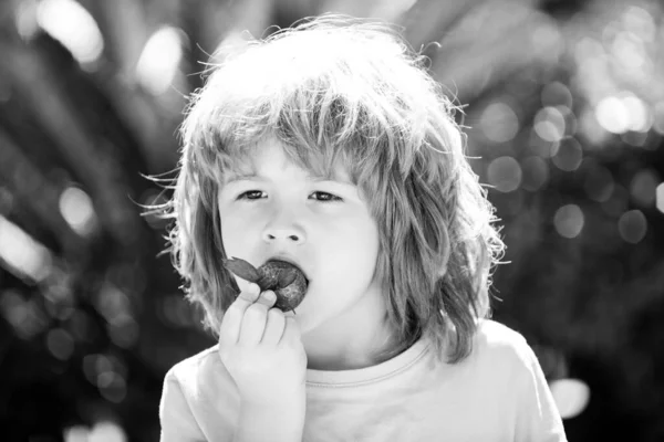 Alimentos saudáveis para crianças. As crianças escolhem morango orgânico fresco. Bonito menino comendo um morango. — Fotografia de Stock