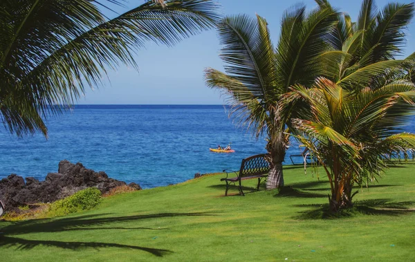 Tropisch zeestrand met zand, oceaan, palmbladeren, palmbomen en blauwe lucht. Zomer strand achtergrond. — Stockfoto