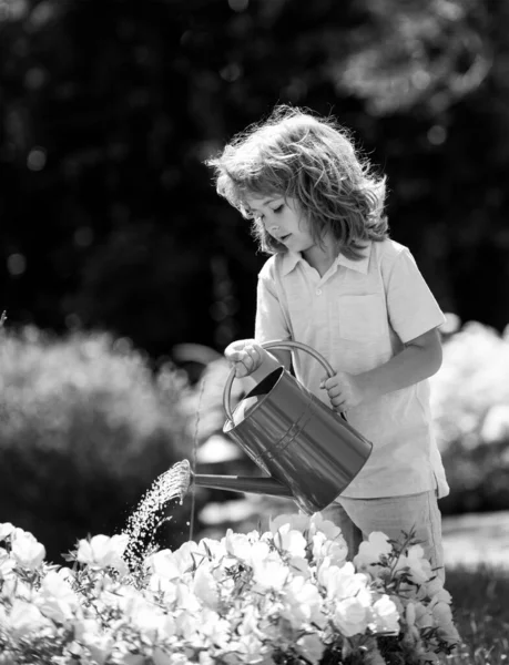 Милый ребенок поливает цветы в саду в летний день. Ребенок в летний день использует банку для полива. Маленький помощник. — стоковое фото