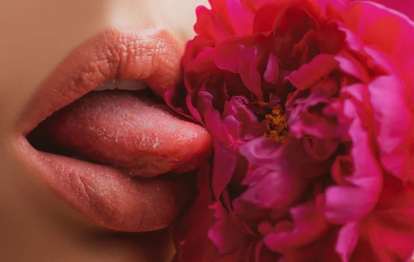 Τα χείλη γλείφουν τα λουλούδια από κοντά. Όμορφη γυναίκα χείλη με τριαντάφυλλο. — Φωτογραφία Αρχείου