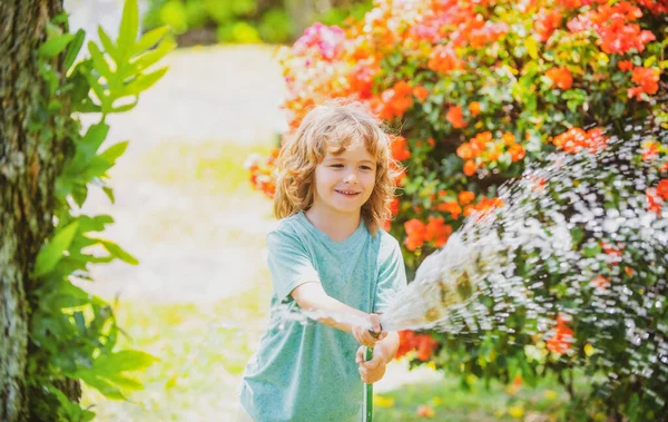 Счастливый мальчик наливает воду из шланга. Дети поливают цветы в саду. Садоводство. — стоковое фото