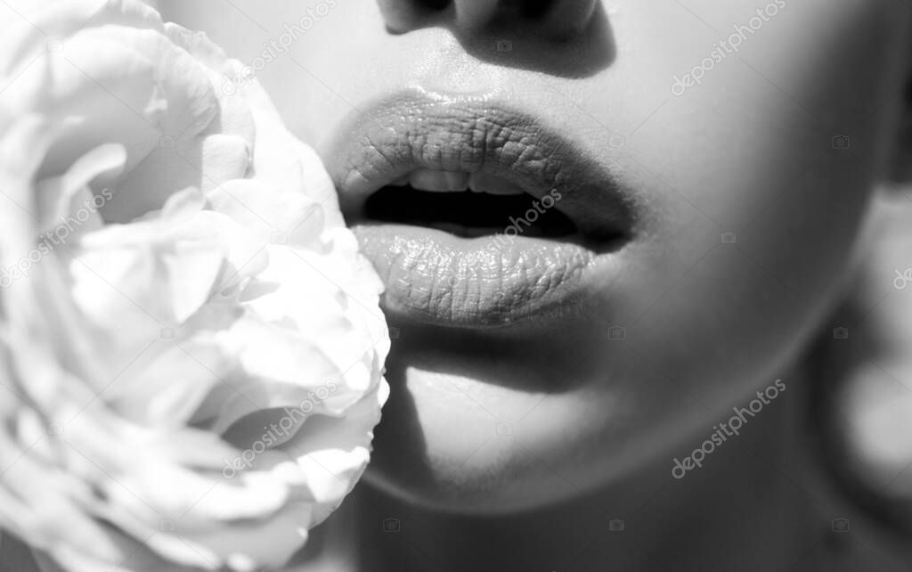Sensual open mouth. Lips with lipstick closeup. Beautiful woman lips with rose.
