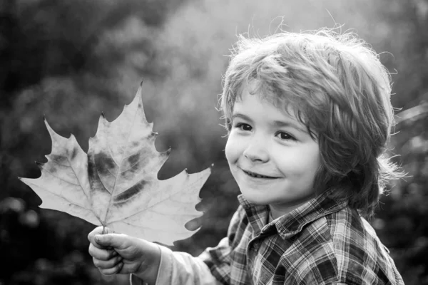 Zamknij portret jesiennego chłopca. Jesień jest zabawna - piękny chłopiec bawi się jesienią liści jesienią, szczęśliwe dzieci. — Zdjęcie stockowe