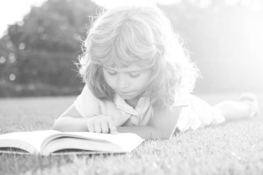 Çimlerin üzerinde kitap okuyan sevimli çocuk. Çocuk yaz parkında kitap okuyor..