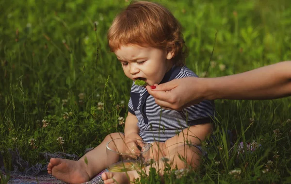 Alimentar al bebé. Las madres dan de comer al bebé con una cuchara. Ración de verano, guardería. Buenos días en la Granja. — Foto de Stock