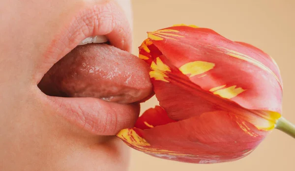 Labbra femminili con rossetto naturale. Sensuale bocca delle donne. Labbro con lucidalabbra. Labbra seducenti di una giovane donna. — Foto Stock