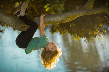 Çocuk yaz parkında yüksek ağaca tırmanıyor. Ağaçta oturan, ağaca tırmanan sevimli çocuk portresi. Bahçede oynayan aktif bir çocuk. Çocuk yaşam tarzı konsepti. Kırsal kesimdeki çocuklar.