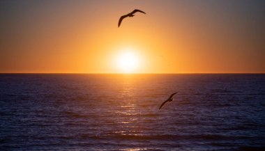 Deniz dalgaları altın gün doğumu. Okyanusun üzerinde gün doğumu.