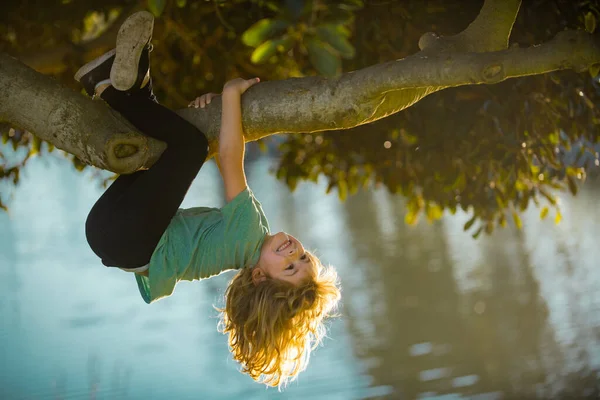 Enfant garçon grimpant haut arbre dans le parc d'été. Portrait d'un mignon garçon assis sur l'arbre, grimpant à un arbre. Garçon actif jouant dans le jardin. Concept de style de vie pour enfants. Enfants à la campagne. — Photo