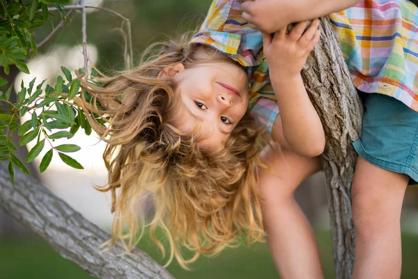 어린 아이가 나무에 오르는 금발 소년. 정원에서 노는 행복 한 아이가 나무 위에서 노는 모습. 나무타고 나뭇가지에 매달리고 놀고 있는 소년. 재미있는 애들의 표정. — 스톡 사진