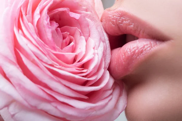 Lábios de mulher bonita com rosa. Lábios lindos. Beleza. Lábios cosméticos. Beleza estética. — Fotografia de Stock