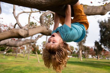 Şirin sarışın çocuk bir ağaç dalında asılı duruyor. Yaz tatili, ağaca tırmanan küçük bir çocuk. Tepetaklak. Çocuklar kırsal kesimde doğayı severler..