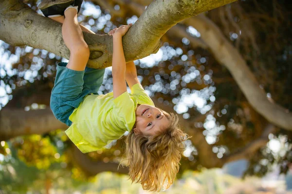 Kleiner, blonder Junge klettert auf Baum. Glückliches Kind, das im Garten spielt und auf den Baum klettert. Kinder klettern auf Bäume, hängen kopfüber an einem Baum in einem Park. Junge klettert im Sommerpark auf Baum. — Stockfoto