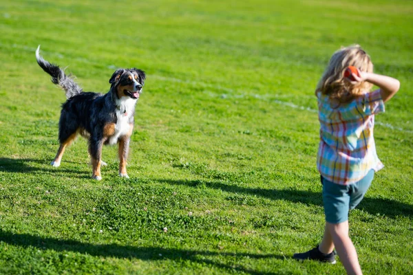 Mutlu çocuk ve evcil köpek arka bahçede oynuyorlar. Şirin çocuk köpek yavrusuyla dışarıda oynuyor güneşli yaz tatili haftasonunun tadını çıkarıyor. Mutlu gülümseyen çocuk ve en iyi arkadaşı.. — Stok fotoğraf