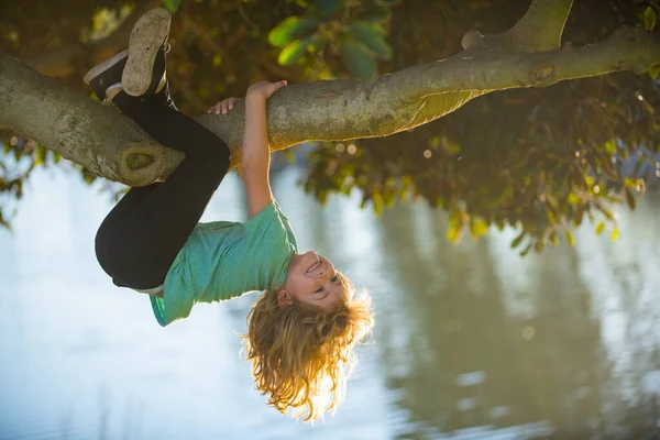 Joyeux enfant jouant dans le jardin grimpant sur l'arbre. À l'envers. Concept d'enfance. — Photo
