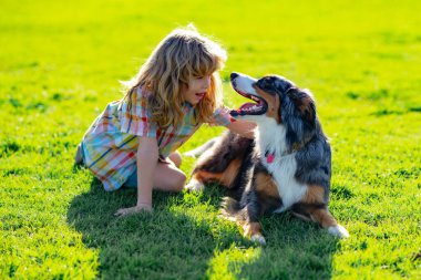 Sarışın çocuk parkta çimlerde köpekle oynuyor. Onun evcil hayvanı dikkatlice sahibine bakar. Yavru köpeği olan bir çocuk. Çimlerin üzerinde oturan köpek. Çocukların olumlu duyguları.